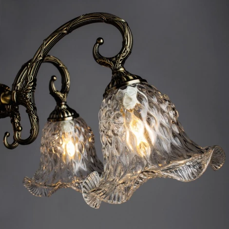 Подвесная люстра Arte Lamp Nuance A3902LM-5AB