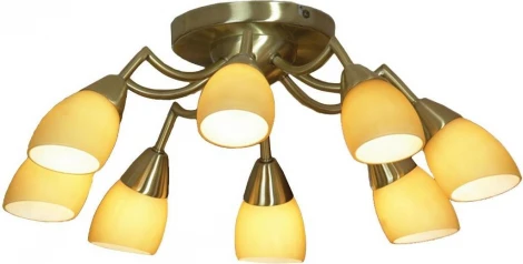 Потолочная люстра Lussole Fiora LSQ-8203-08