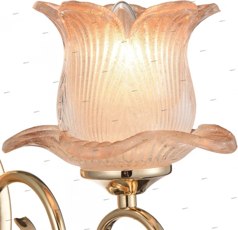 Бра ST Luce Pianta SL668.201.01