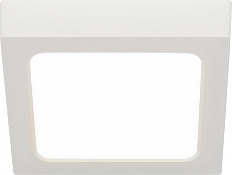 Точечный светильник светодиодный ЭРА LED 20-18-4K (220V, IP40)