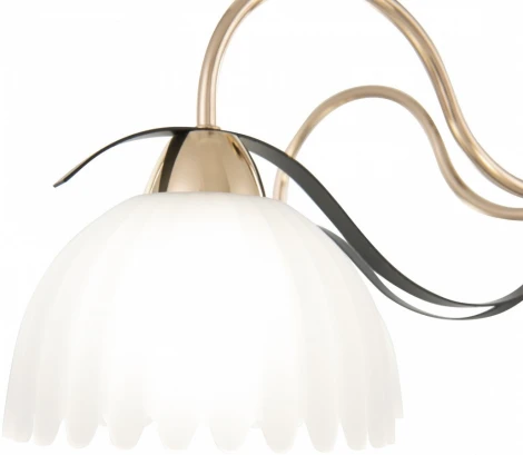 Потолочная люстра на штанге Arte Milano Napoli 327306/5 FG+BK (220V)