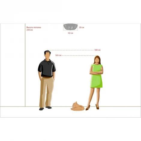 Потолочный светильник Chiaro Изабелла 351010606