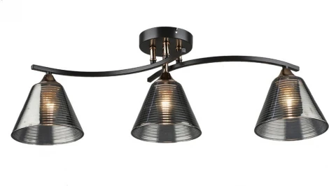 Потолочная люстра Wedo Light Dorika WD3636/3C-CF-FGD-SMK