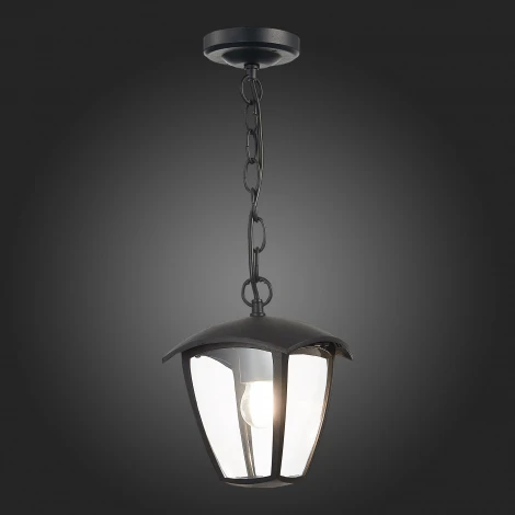 Уличный светильник подвесной ST Luce Sivino SL081.403.01