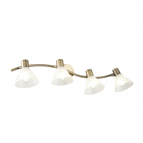 Спот Freya Paola FR7001WL-04BZ