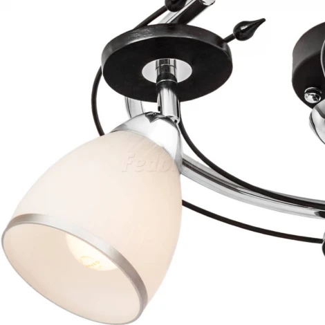 Потолочная люстра Silver Light Austerity 223.59.3