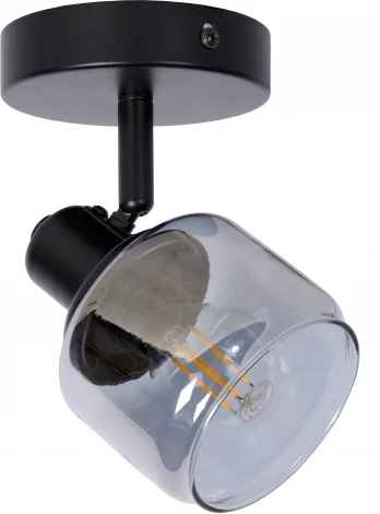 Спот Bjorn 77979/01/30 (220V)