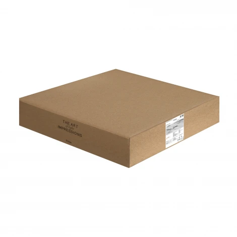 Потолочный светильник светодиодный Freya Sprida FR6129CL-L80W 80Вт LED с пультом ДУ