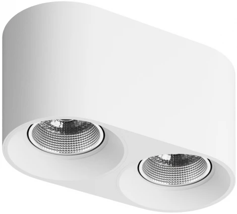 Накладной точечный светильник Denkirs DK3040 DK3096-WH+CH