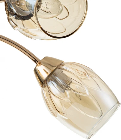 Потолочная люстра Escada Allium 663/5P