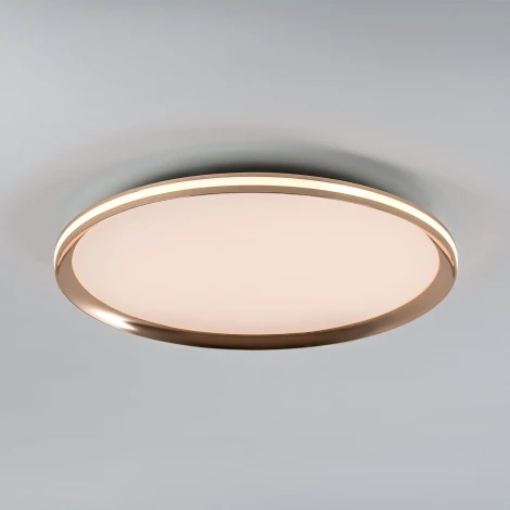 Потолочный светильник светодиодный с пультом с регулировкой цветовой температуры LED4U LED4U L3020-500 GD