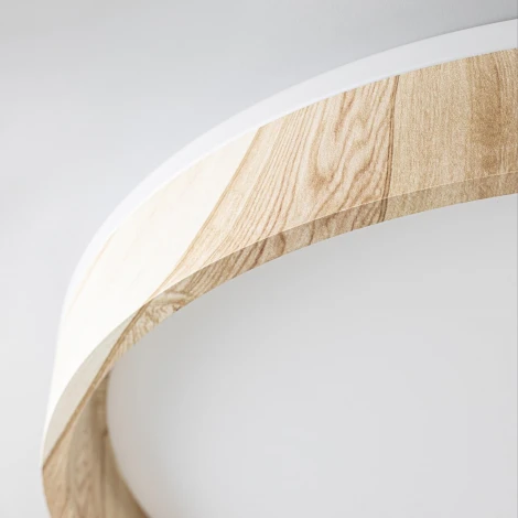 Потолочный светильник RGB круглый светодиодный с пультом Citilux Enzo CL753452G (220V, круглые)