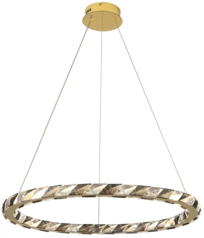 Подвесной светильник Lussole Citrus LSP-7157 (LED, 220V, на тросе, кольцо)