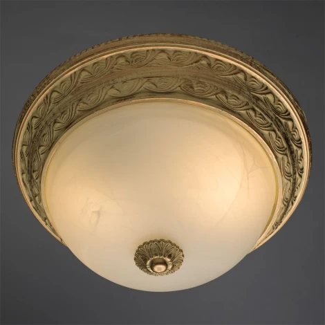 Потолочный светильник Arte Lamp Piatti A8013PL-2WA