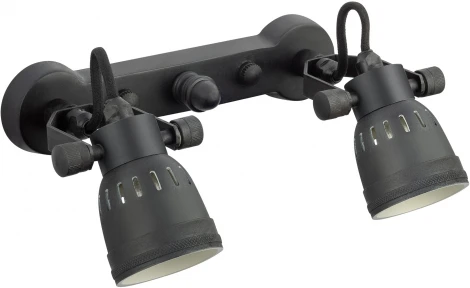 Спот Covali WL-30170 (220V)