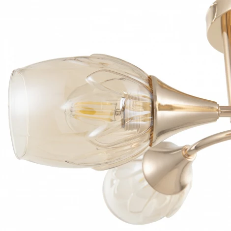 Потолочная люстра на штанге Arte Milano Napoli-6366 336366/5 FGD (220V)