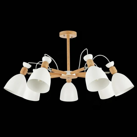 Потолочная люстра Evoluce Balcamo SLE103802-07 (220V)