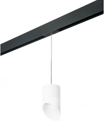 Трековый светильник однофазный 220V Lightstar Rullo PRORP348686 (круглые)