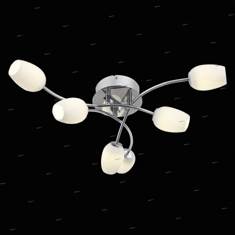 Потолочная люстра ST Luce Luna SL478.102.06