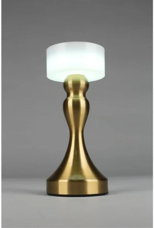 Настольная лампа светодиодная Omnilux OML-40304-01 (220V)