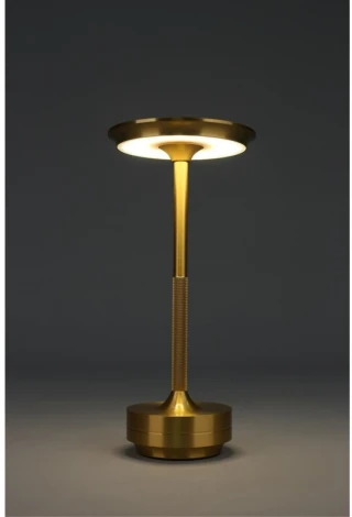 Настольная лампа светодиодная Omnilux OML-40414-01 (220V)