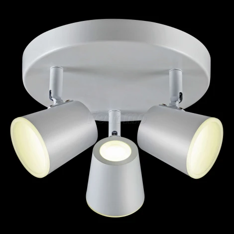 Спот Novotech Campana 357854