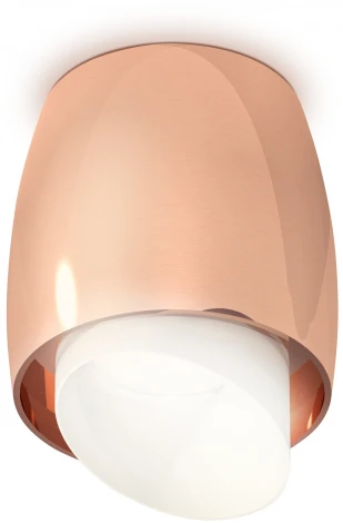 Накладной точечный светильник Ambrella Techno Spot XS1144021 (220V, круглые)