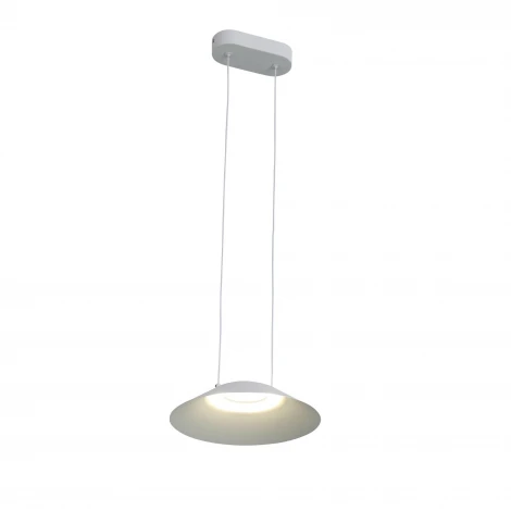 Подвесной светильник ST Luce Pitto SL427.503.01