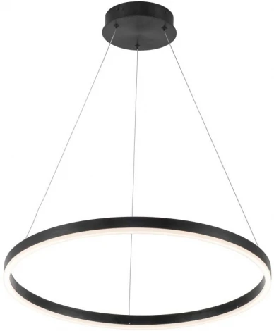 Подвесной светильник Stilfort Planetary 4005/02/01P (LED, 220V, пульт управления, на тросе, круглые, кольцо)