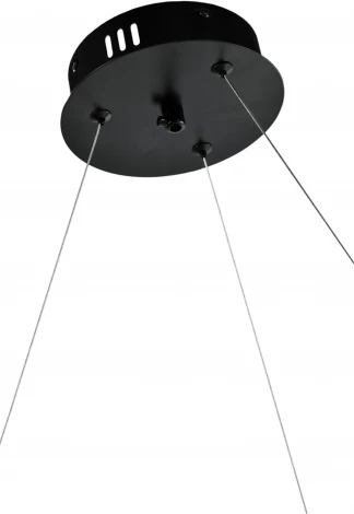 Подвесная люстра Zortes Rony ZRS.1209.06 (220V, на тросе, круглые)