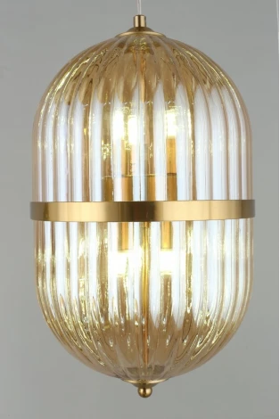 Подвесной светильник Aployt Ludovica APL.860.06.30 (220V, на проводе, круглые)