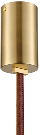 Подвесной светильник Favourite Odit 4219-1P (LED, 220V)