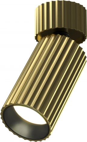 Потолочный светильник накладной Maytoni Calipso C108CL-01-GU10-BS