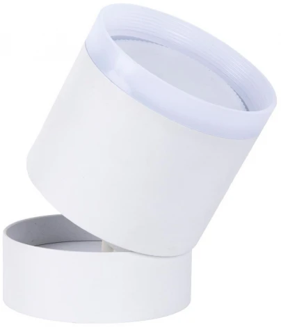 Накладной потолочный светильник Favourite Dixi 4709-1C (220V, круглые)