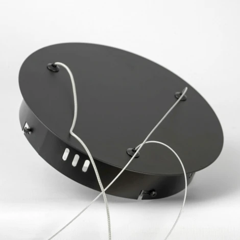 Подвесной светильник Lussole Desoto LSP-7229 (LED, 220V, на тросе, кольцо)