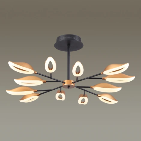 Потолочная люстра Odeon Light Gardena 3903/84CL