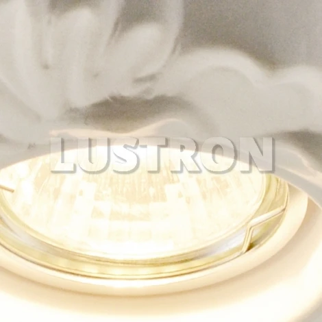 Встраиваемый точечный светильник Arte Lamp Alloro A5248PL-1WH