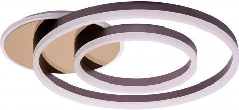 Потолочная люстра светодиодная с ДУ Ritter Eclipce 52087 4