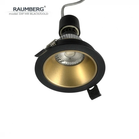 Встраиваемый светильник Raumberg DIP MR Black/Gold