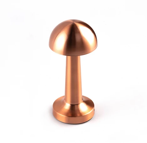 Настольная лампа Escada Evo 10257/L LED 3Вт, 13000/4000/6000K, металл/акрил, золото/белый