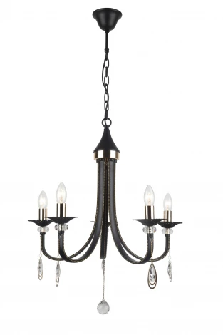 Подвесная люстра Arte Lamp Dallas A8540LM-5BK