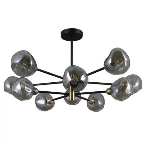 Потолочная люстра Seven Fires Borno SF4003/10C-BK-AB