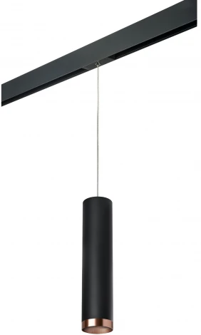 Трековый светильник однофазный 220V Lightstar Rullo PRORP497430 (круглые)