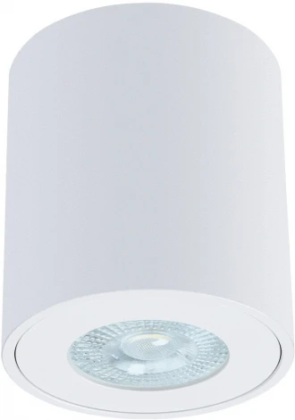 Точечный светильник накладной Arte Lamp Tino A1469PL-1WH (220V, IP44)