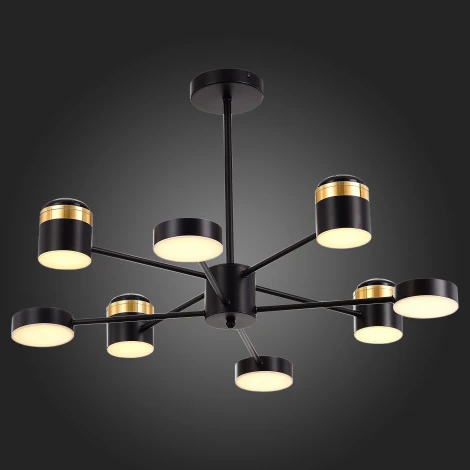 Потолочная люстра на штанге Evoluce Tezze SLE6007-402-08