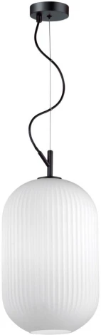 Подвесной светильник Odeon Light Roofi 4752/1 (220V, на тросе)