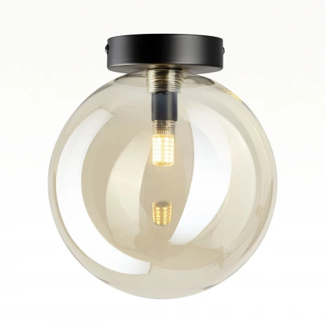 Потолочный светильник в форме шара Citilux Orton CL202512 (220V, шар)