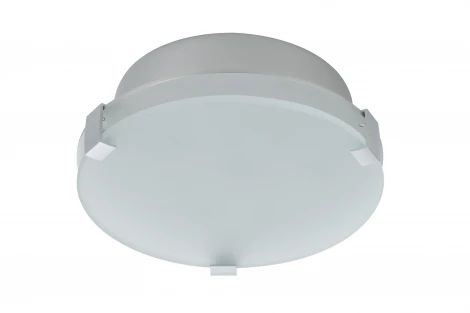 Настенно-потолочный светильник Paulmann Xeta 70279