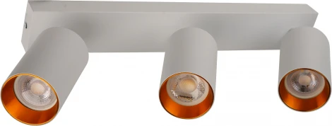 Потолочный светильник спот Brizzi Aras BR08088