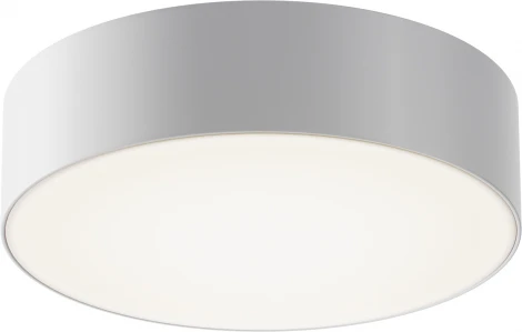 Потолочный светильник уличный Maytoni Zon IP O431CL-L30W4K (LED, 220V)